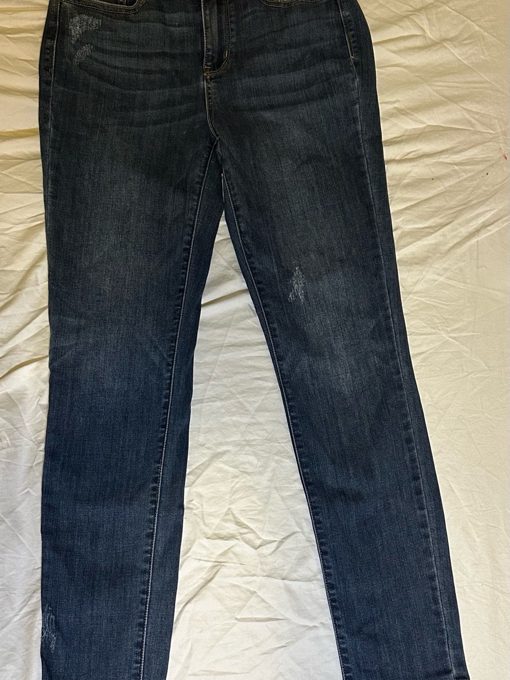 Judy Blue Dark Wash Skinny Jeans